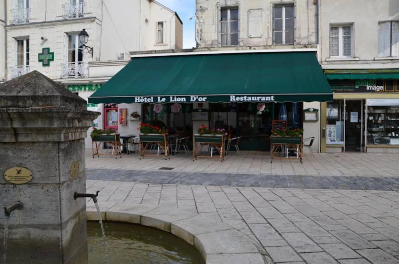 Hotel Le Lion D'Or Selles-sur-Cher Exterior foto